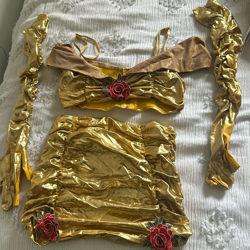 Adult belle costume